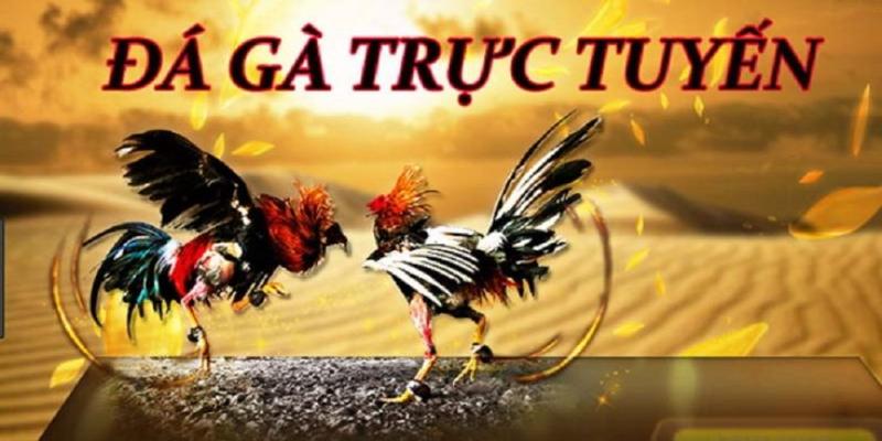 Đá gà trực tuyến tựa game nhanh được ưa chuộng tại trang web J88