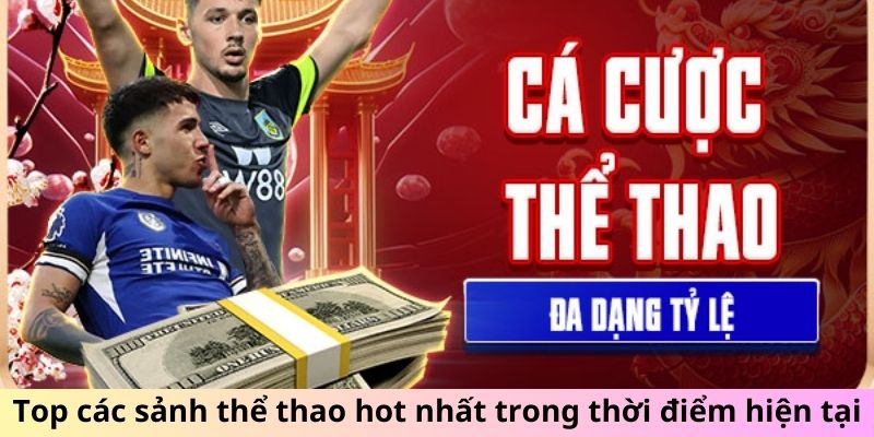 Top các sảnh thể thao hot nhất trong thời điểm hiện tại